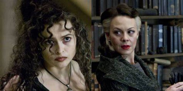 Was Bellatrix Sirius sister?