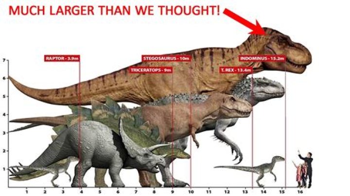 Was bigger long a real person?