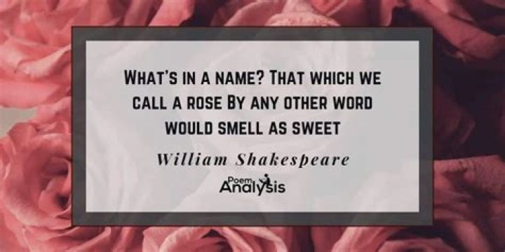 What's in a name a rose would smell as sweet?