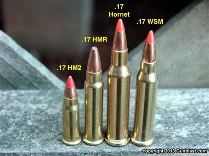 What's the difference between a 17 HMR and a 17 WSM?