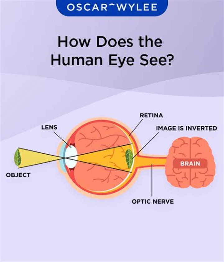 What's the highest resolution the eye can see?
