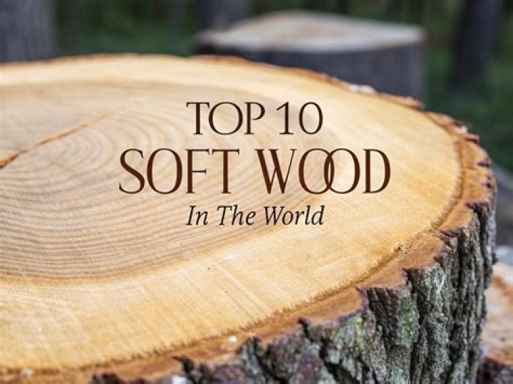 What's the softest wood in the world?