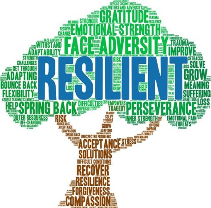 What's the synonym of resilience?