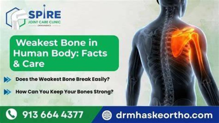 What's the weakest bone to break?