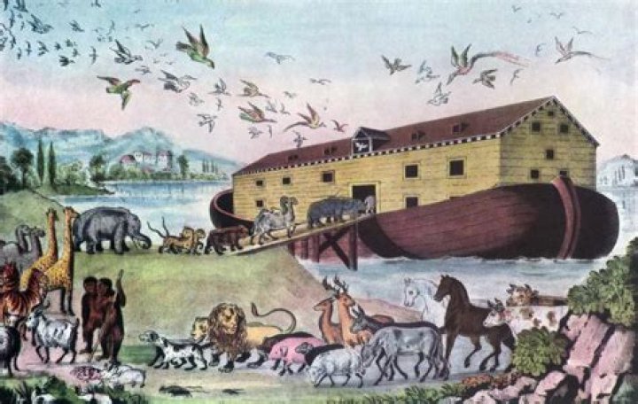 What animal did Noah not take on the ark?