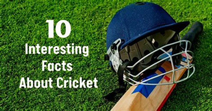 What are 3 interesting facts about cricket?