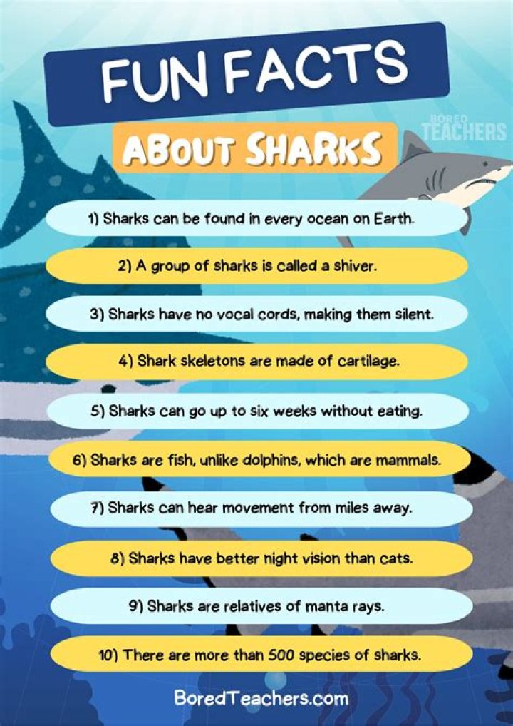 What are 3 interesting facts about sharks?