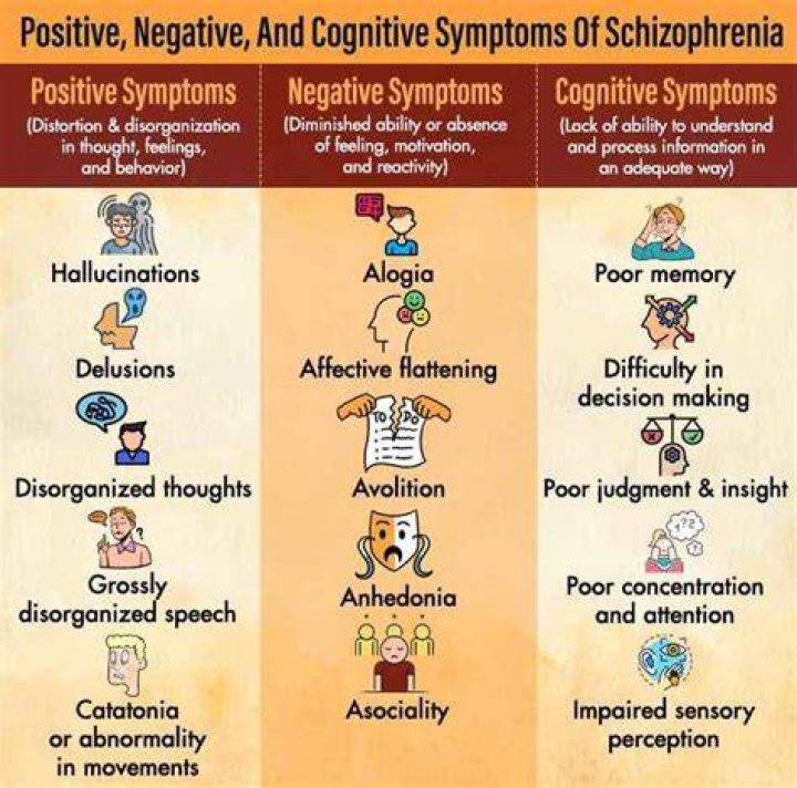 What are 3 positive symptoms of schizophrenia?