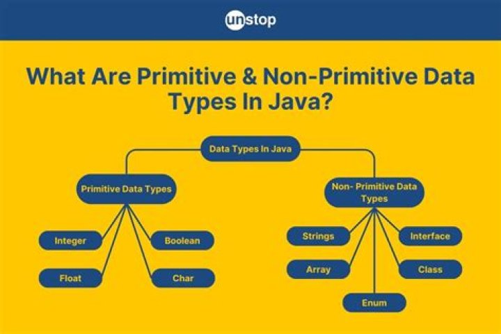 What are 4 examples of non-primitive data types?