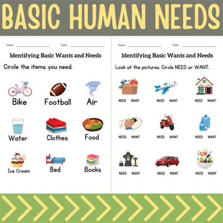 What are 5 examples of needs?