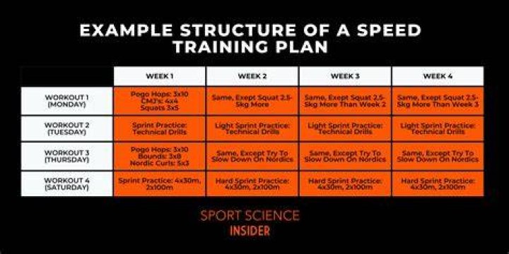 What are 5 examples of speed training?