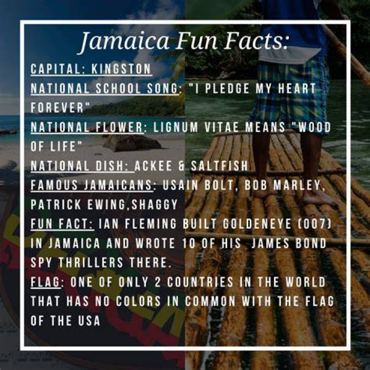 What are 5 interesting facts about Jamaica?