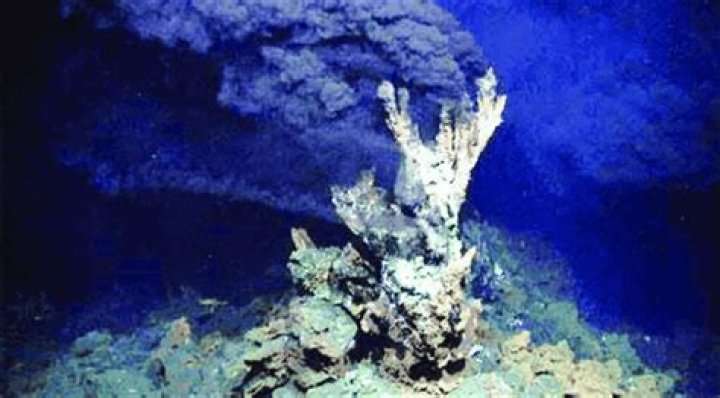 What are black smokers in the ocean?