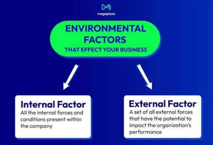 What are external factors in sport?