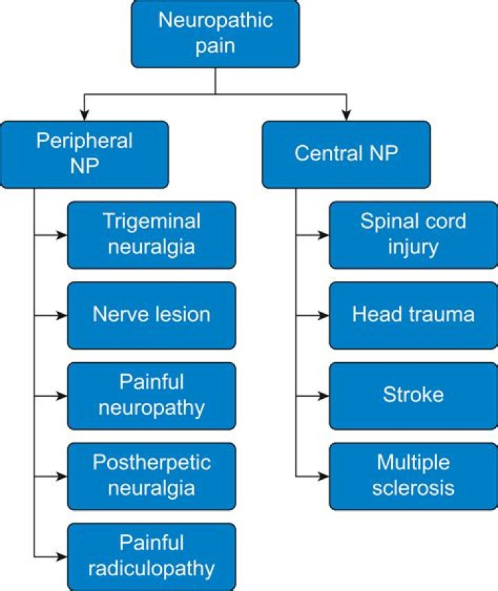 What are four common types of neuropathic pain?