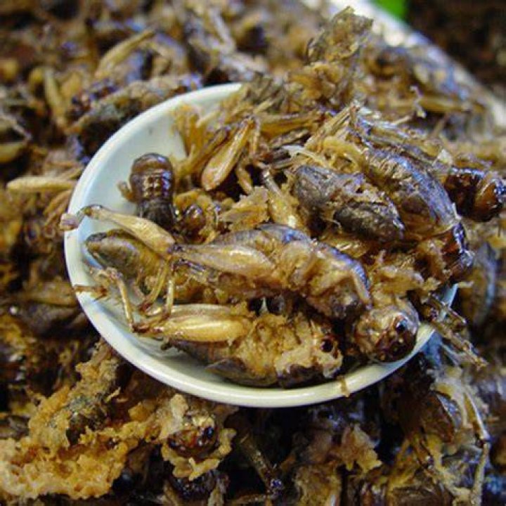 What are fried crickets called?