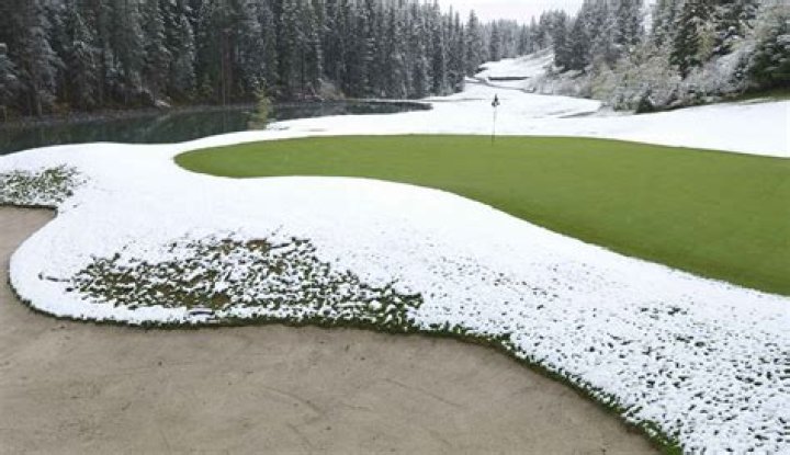 What are golf winter greens?