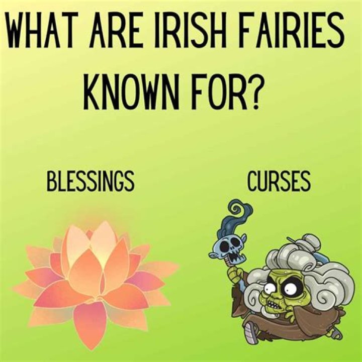 What are Irish fairies?