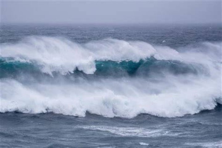 What are king waves?