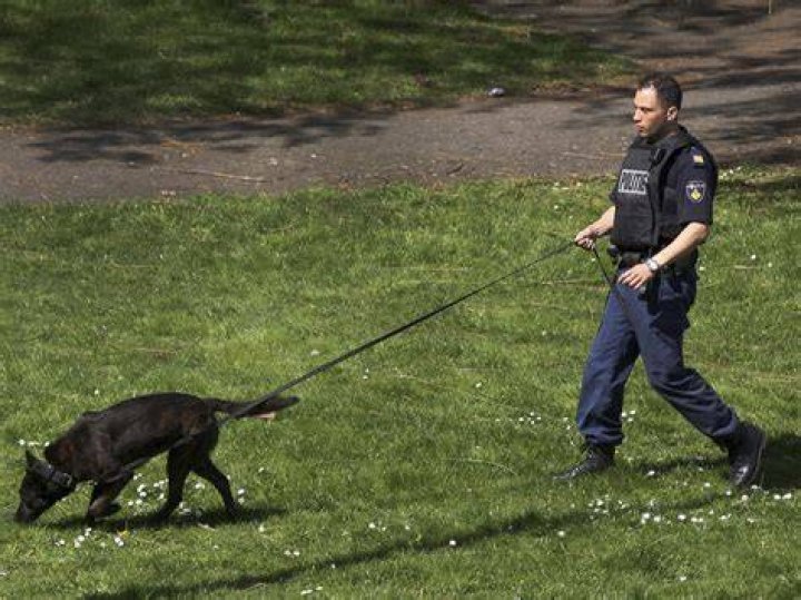 What are police dogs trained to smell?