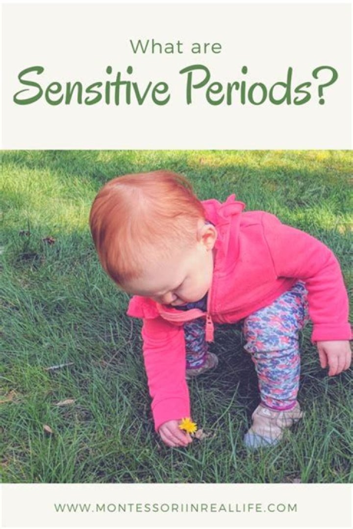 What are sensitive periods in children?
