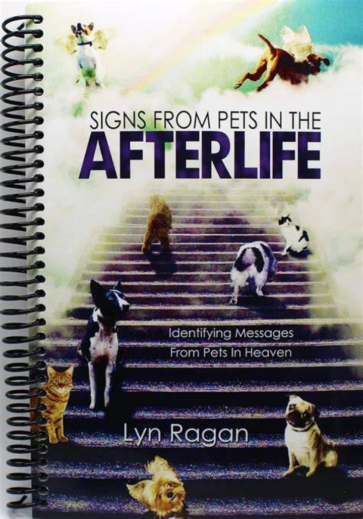 What are signs from pets in the afterlife?