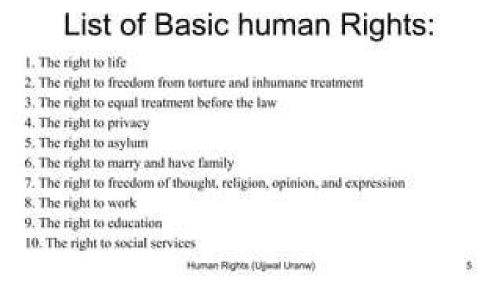 What are the 10 basic human rights?