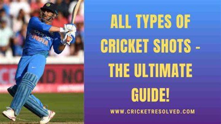 What are the 12 shots in cricket?
