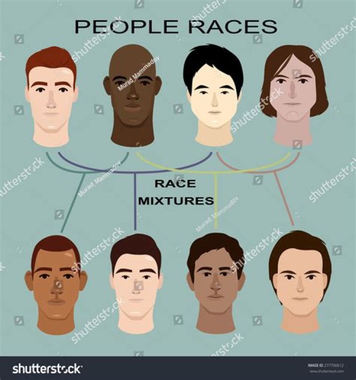 What are the 3 human races?
