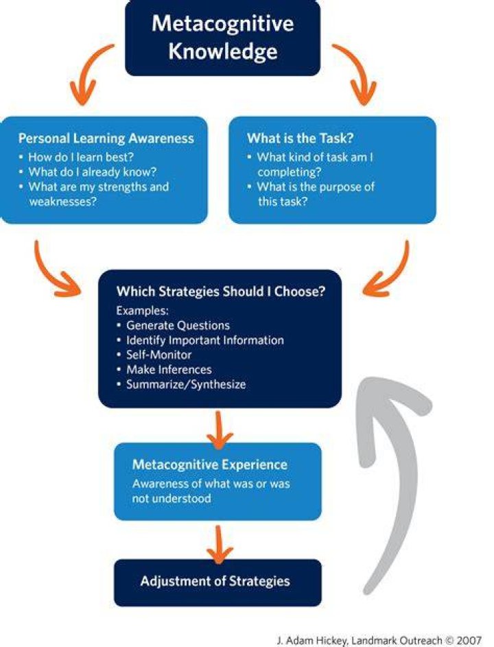 What are the 3 metacognitive skills?