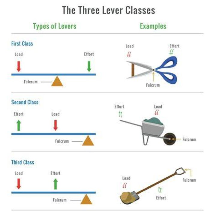 What are the 3 types of stunt?