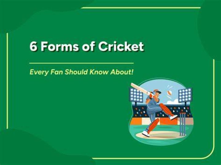 What are the 4 formats of cricket?