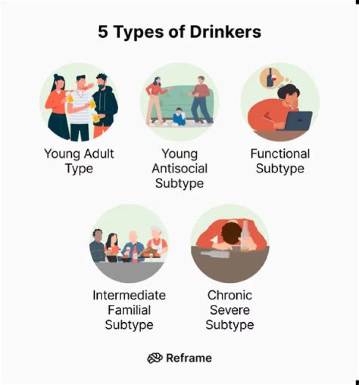 What are the 4 types of drinkers?