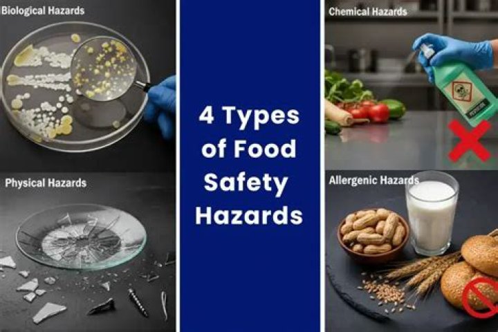 What are the 4 types of food hazards?
