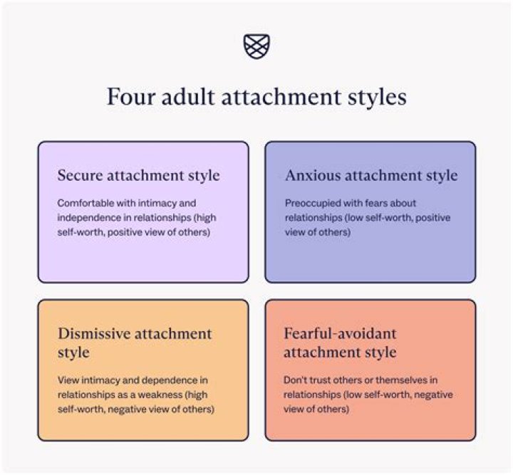 What are the 4 types of law?