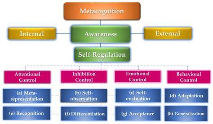 What are the 4 types of metacognition?