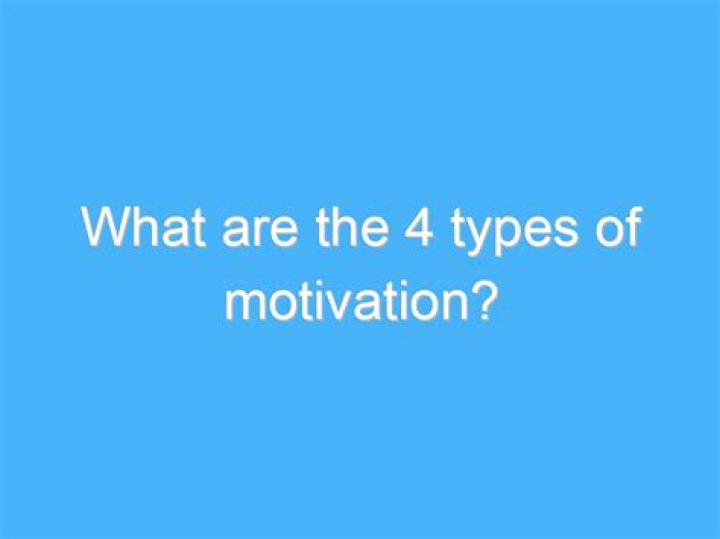 What are the 4 types of motivation?