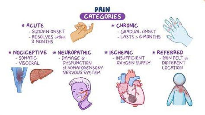 What are the 4 types of pain?