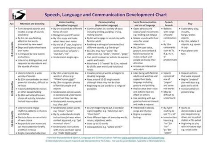 What are the 5 theories of language development?