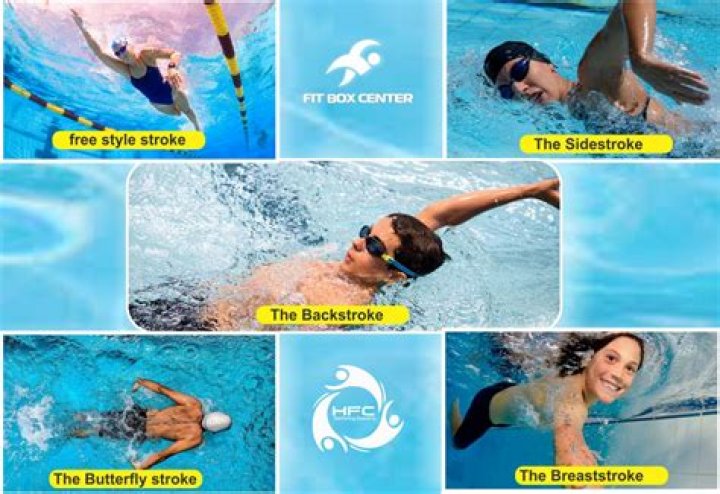 What are the 6 main types of swimming?