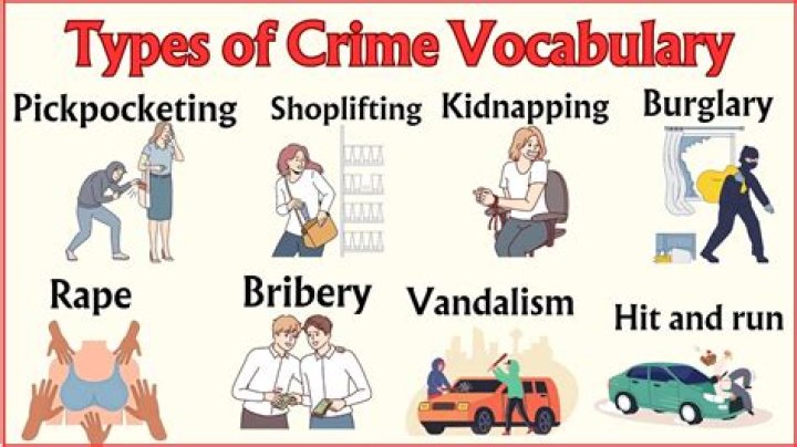 What are the 6 types of crime?
