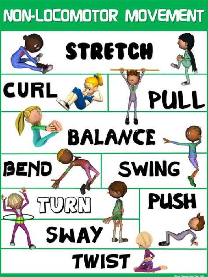 What are the 7 locomotor movements?