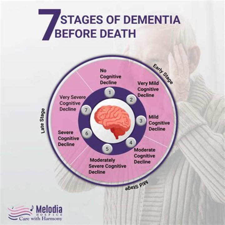What are the 7 stages of death?