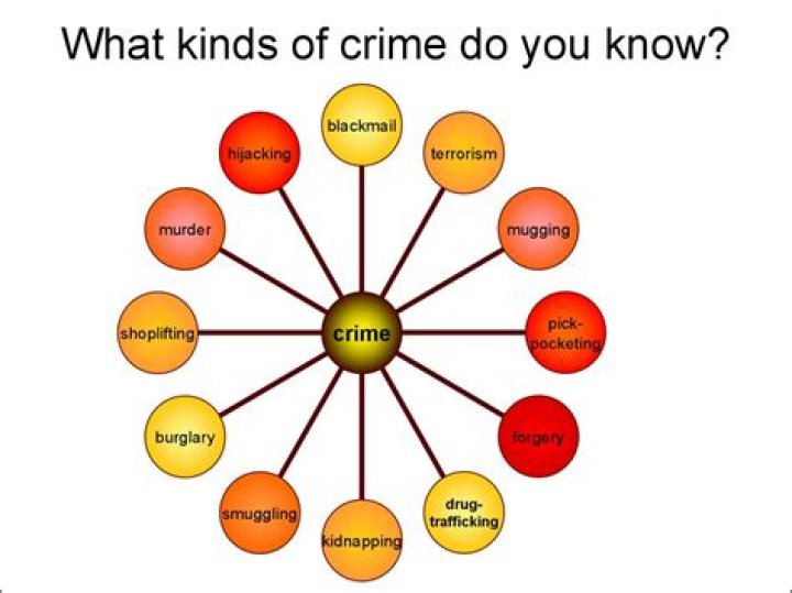 What are the 7 types of crimes?