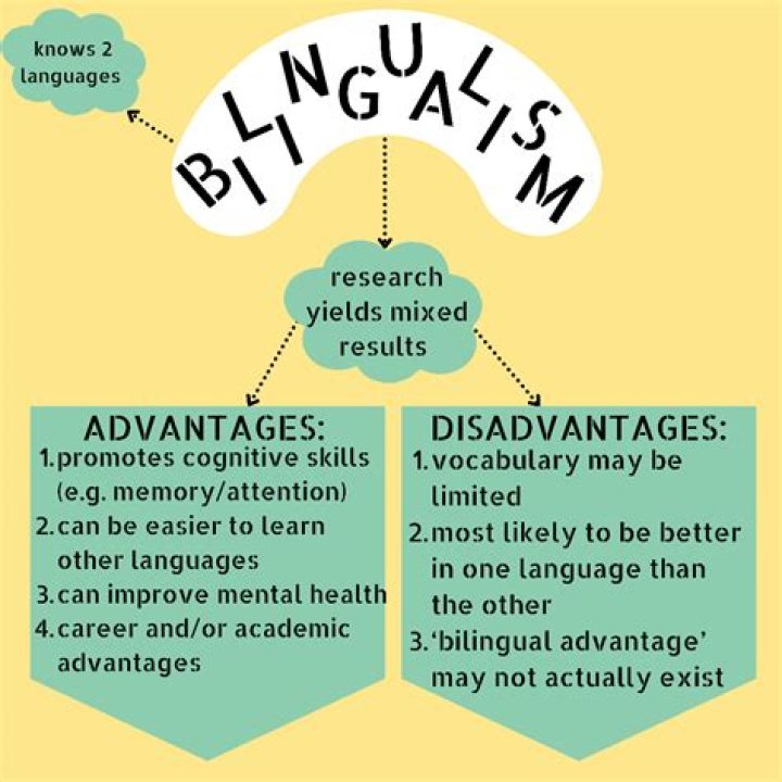 What are the advantages and disadvantages of being bilingual?