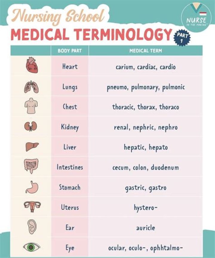 What are the basic medical terminologies used by the medical assistant?