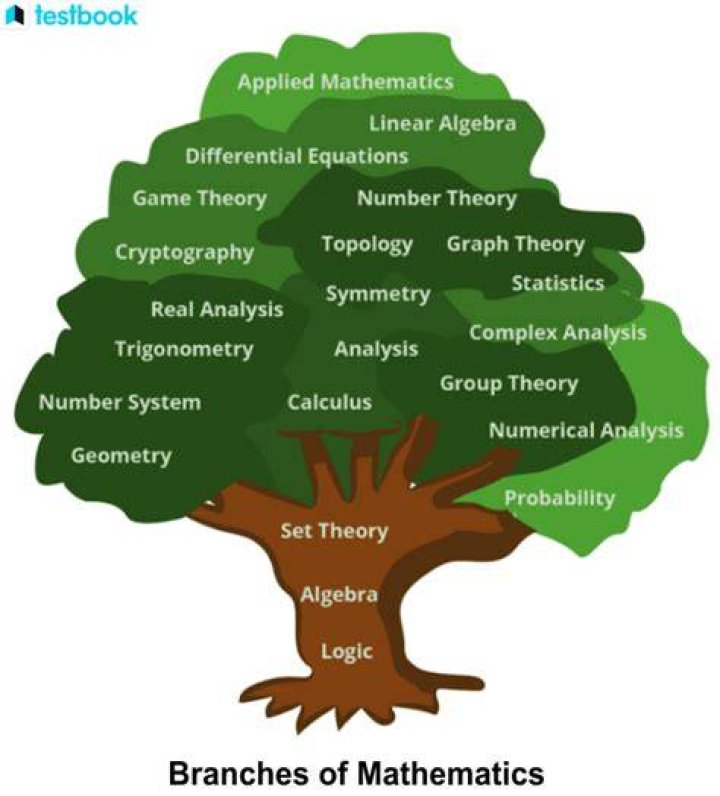 What are the branches of algebra?