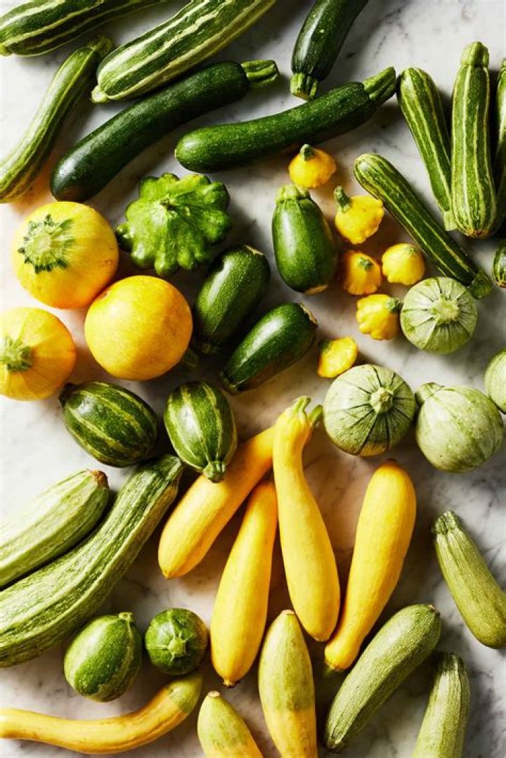 What are the different squash balls?