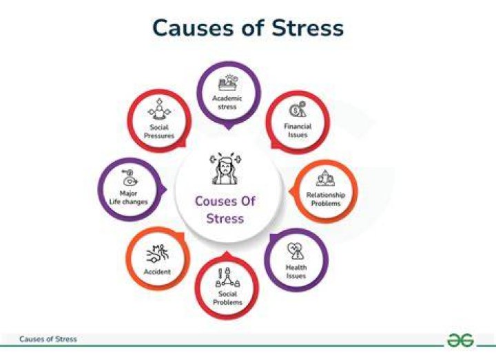 What are the different types of stressors Class 10?