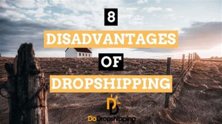 What are the disadvantages of drop shipping?